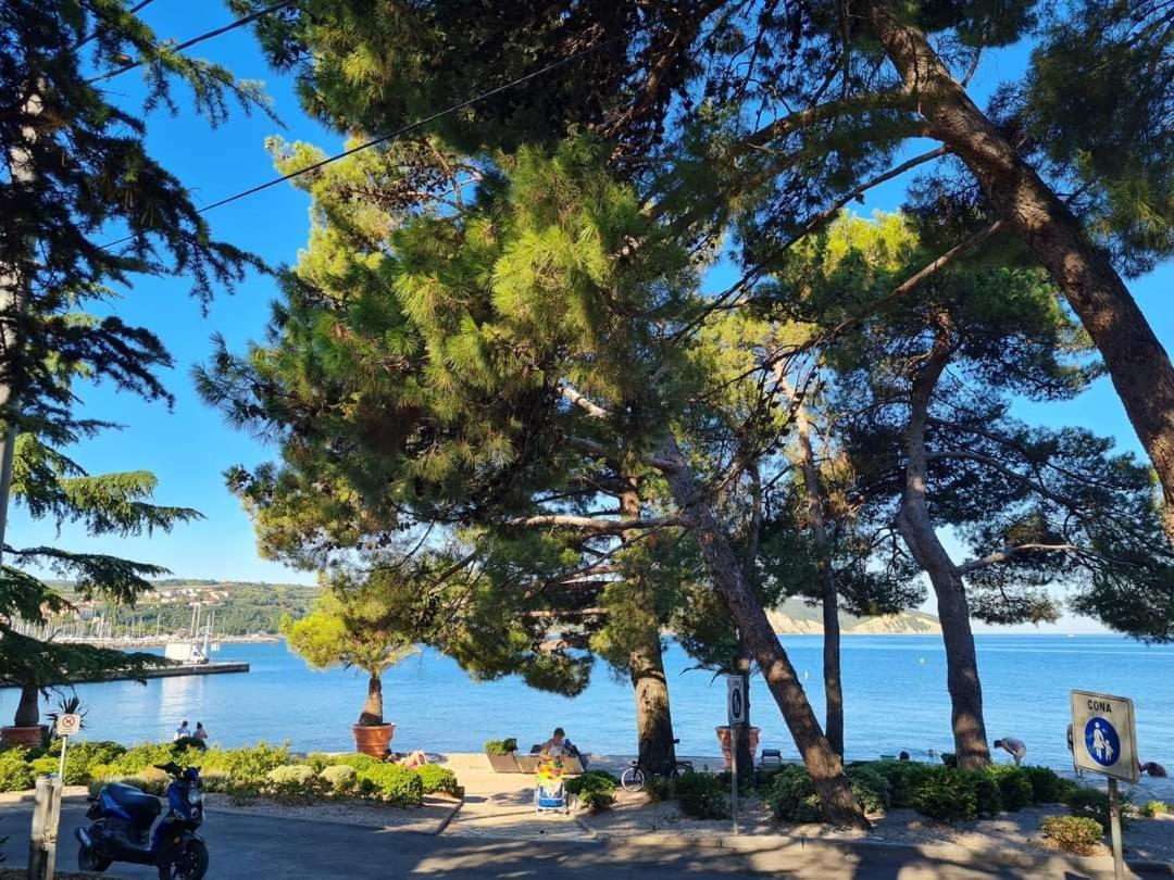 Apartmaji Soncek Izola Esterno foto
