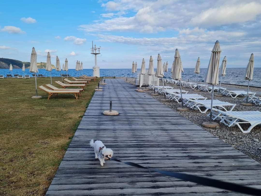 Apartmaji Soncek Izola Esterno foto